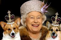 Четвероногие подданные ее Величества или как оно быть английской собакой