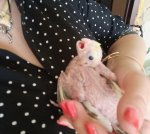 Папуги короеда 2 хлопчик і дівчинка